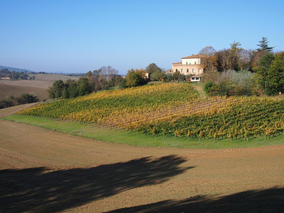 Agriturismo Poggiarellino - Montalcino Kültér fotó