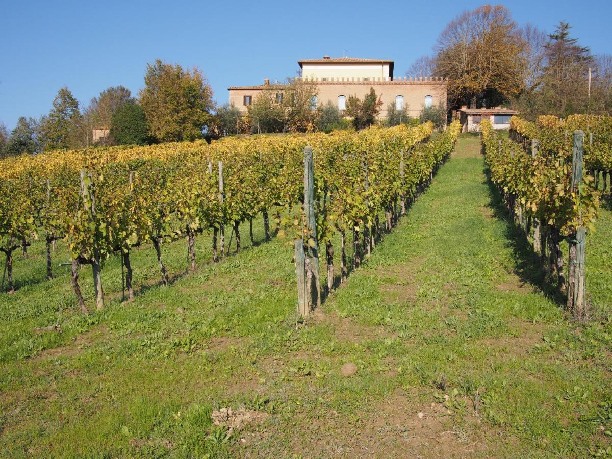 Agriturismo Poggiarellino - Montalcino Kültér fotó