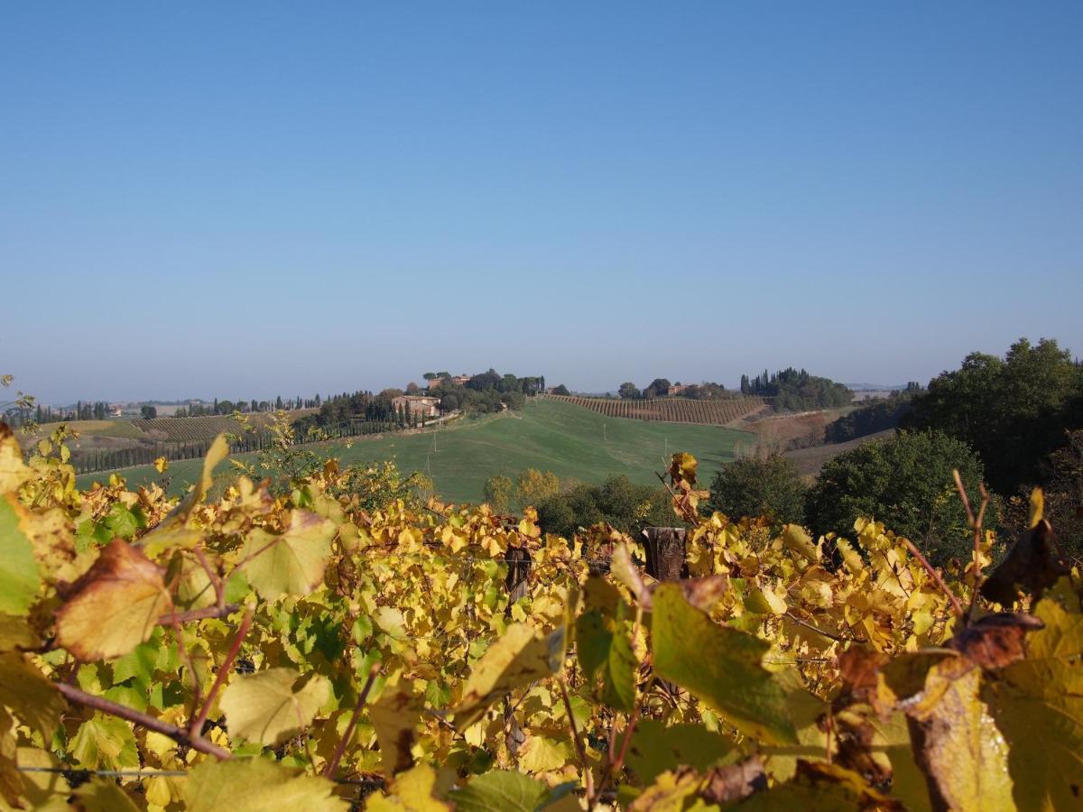 Agriturismo Poggiarellino - Montalcino Kültér fotó