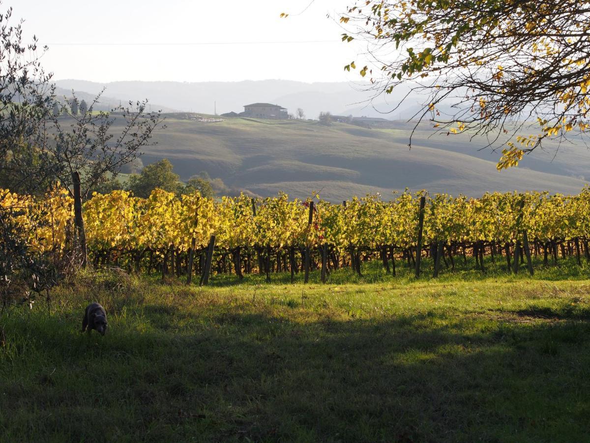 Agriturismo Poggiarellino - Montalcino Kültér fotó