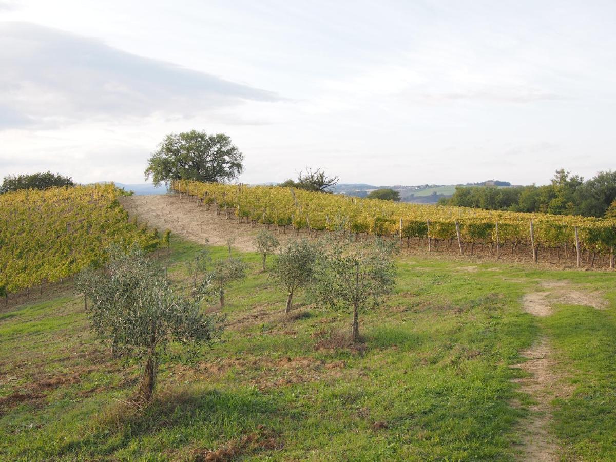 Agriturismo Poggiarellino - Montalcino Kültér fotó