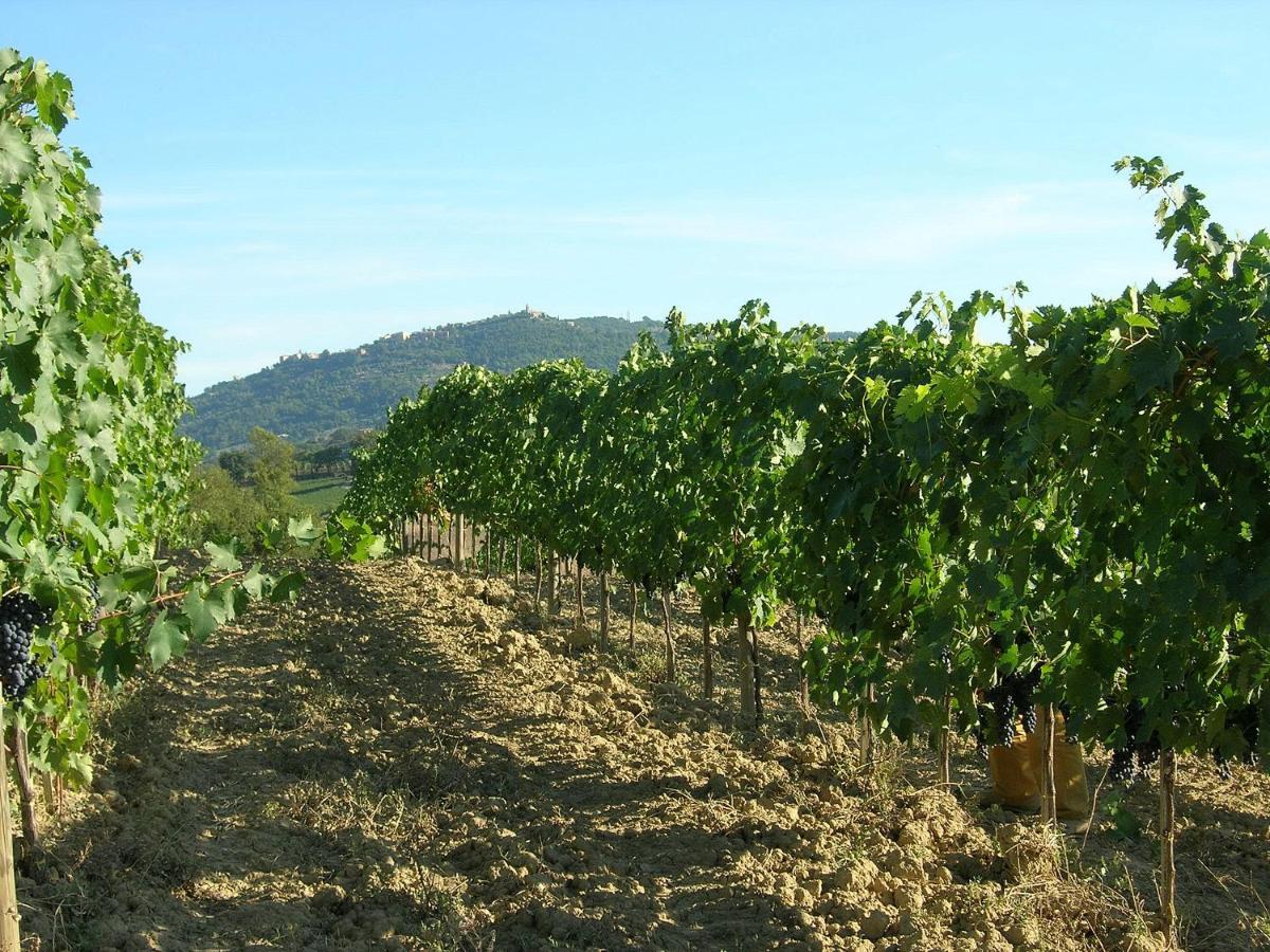 Agriturismo Poggiarellino - Montalcino Kültér fotó