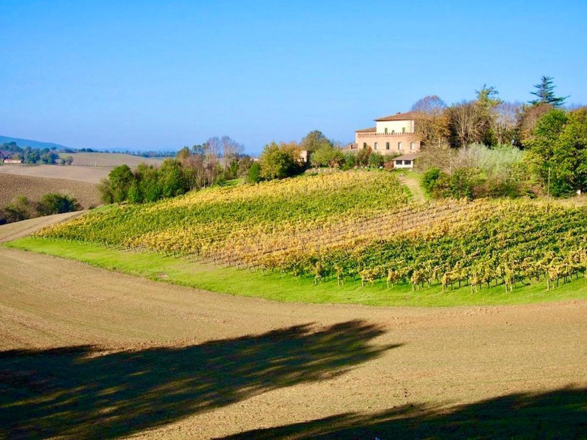 Agriturismo Poggiarellino - Montalcino Kültér fotó